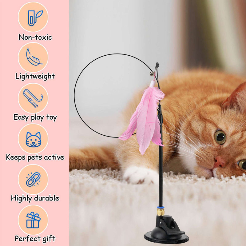 Ensemble de jouets pour chat en forme de baguette pour chat