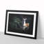 Curious Fawn - Framed Print-56916759-56916756