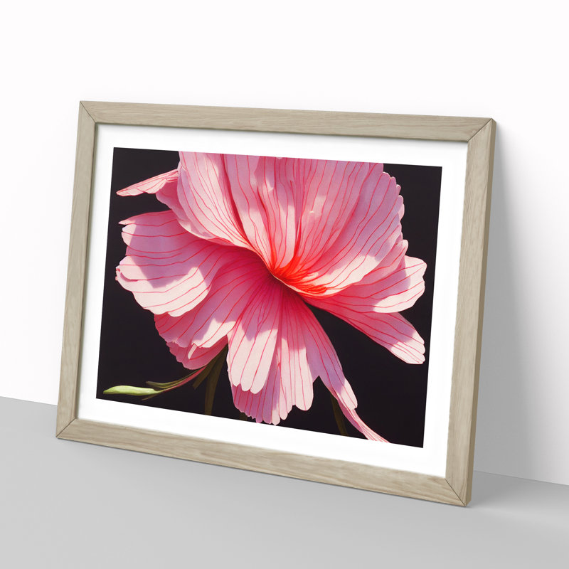 Splendorous Carnation Flower - Framed Print, 46cm H x 64cm W x 2cm D, Oak