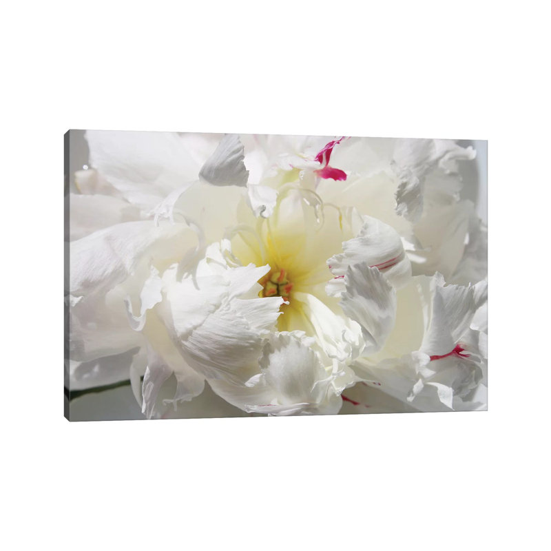 Breathless II by Irena Orlov - Wrapped Canvas Print, 45.72cm H x 66.04cm W x 1.91cm D