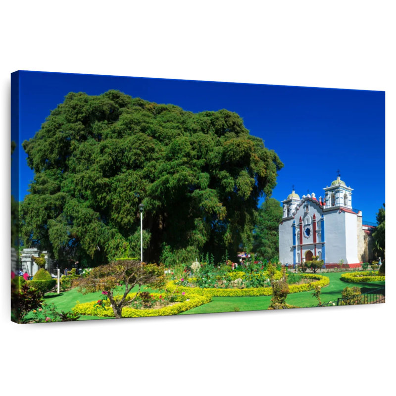 Adella Mexico's El Tule Tree, 32" H x 48" W