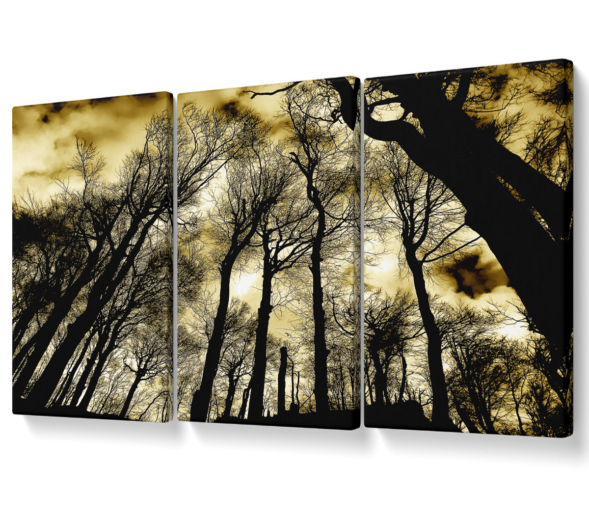 Union Rustic Woodland Skies - 3 Piece Wrapped Canvas Graphic Art ...