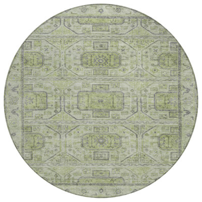 Machine Washable Indoor/Outdoor Xhevrie Aloe Rug