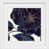 White Frame is unavailable