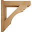 Sapin Douglas Douglas-31644775-31651491