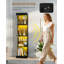 Glass Display Cabinets with Lights, Intelligent Human Sensor, Adjustable Shelves, Bookcase for Living Room, Glass Display Cupboard for Collectibles Trophy Books 