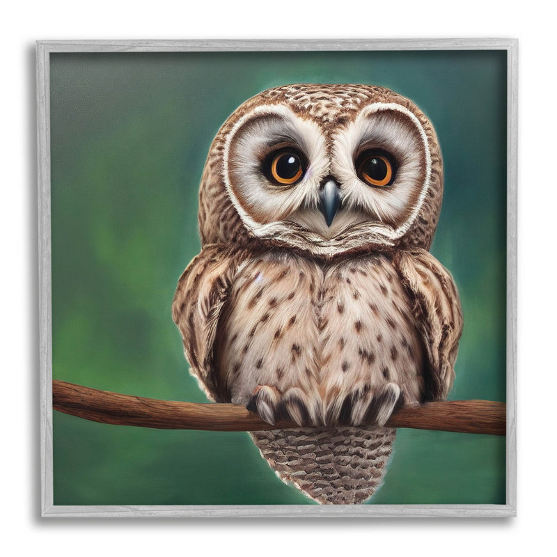 Hibou tacheté regardant la giclée par Alpenglow, H 12 po x l 12 po x P 1,5 po, Estampe numérique Farmhouse