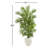 Faux Palm Tree in Ceramic Planter-1603363535-1604921342