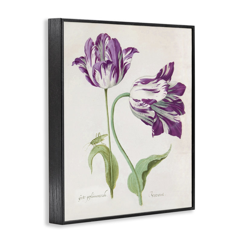 Deux tulipes à fleurs mauves, estampe numérique, design par Jacob Marell, H 20 po x l 16 po, Giclée encadrée noir minuit