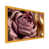 Single Picture Framed selected
