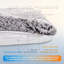 Cotton Pet Bed Accessory