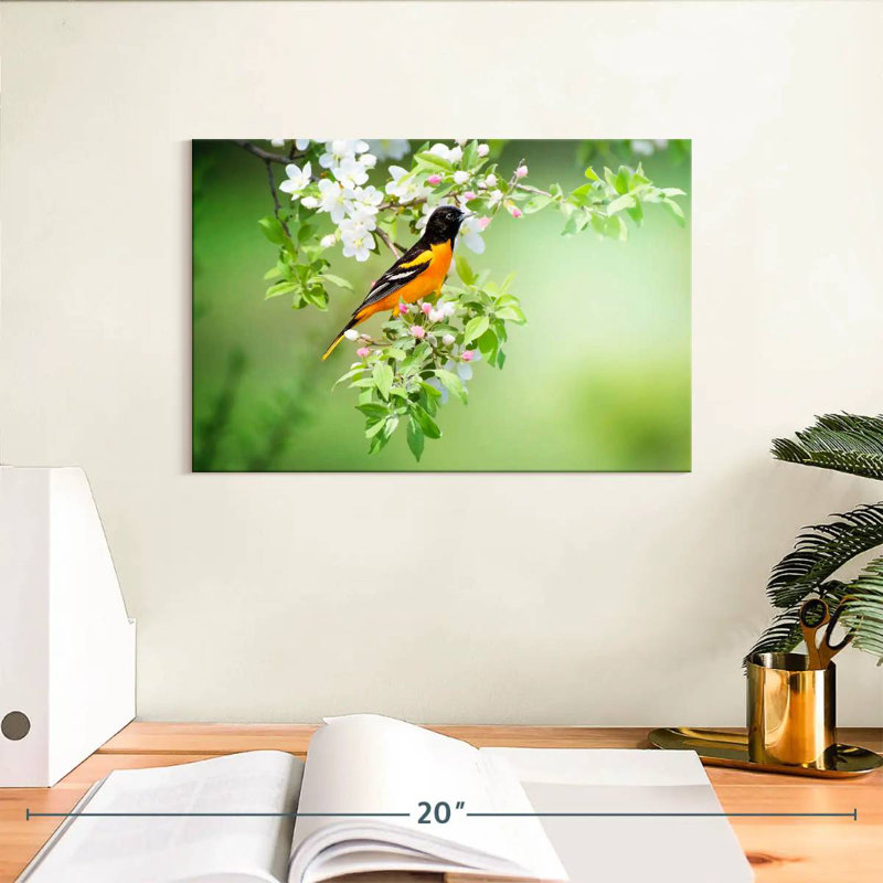 Brampt Oriole, 8" H x 12" W