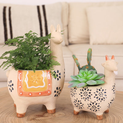 Rolen Ceramic Planter
