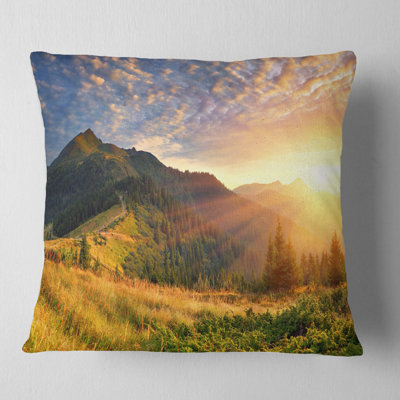Throw Pillow