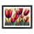 Black Framed selected