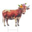 Piquet de ferme - vache