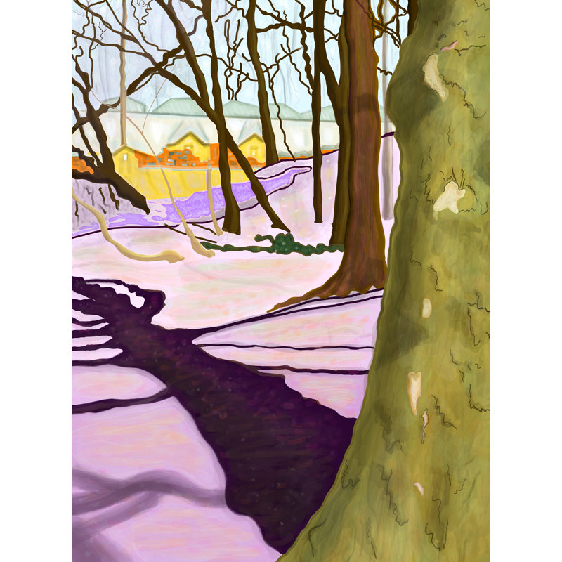 Hill With Crocus Print by Evan Sklar, 31.25" H x 25.25" W, Black Framed Paper