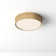 Poppy LED Flush Mount
