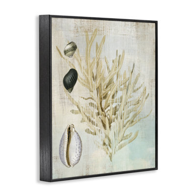 Coral Branch & Cowrie Shells Framed Giclee, design by Susan Arnot