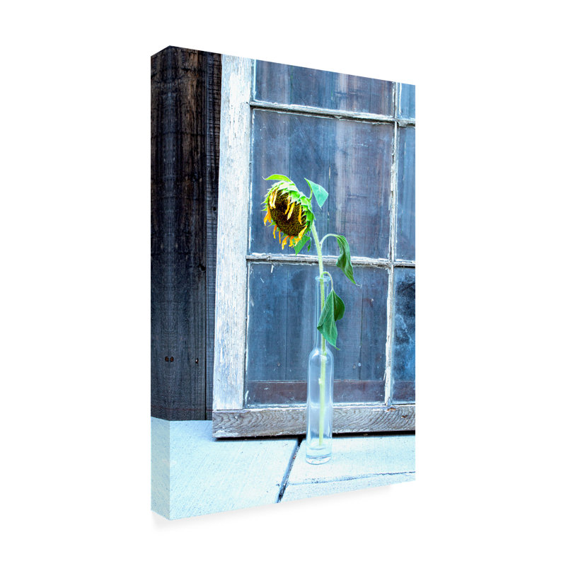 Art sur toile Kent Flora, H 19 po x l 12 po