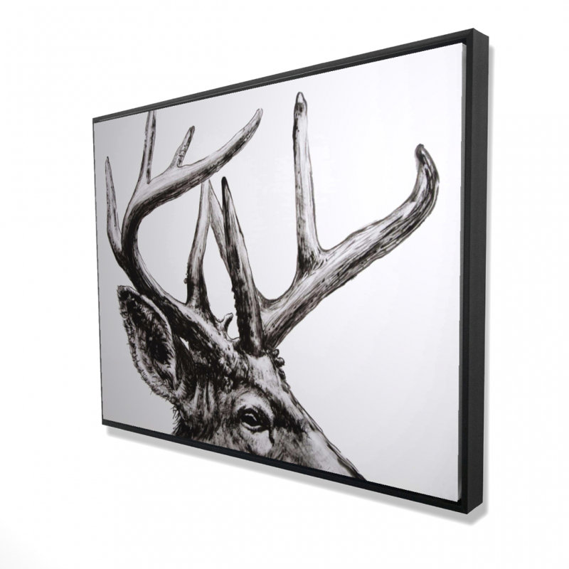 Roe Deer Plume Print On Canvas