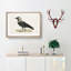 Western Jackdaw by Von Wright - Picture Frame Painting Print-55612443-55612446