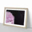 Stars of Life - Picture Frame Painting Print-55730071-55730077