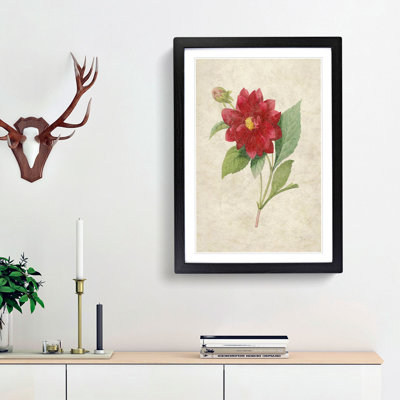 Dahlia Flowers by Pierre-Joseph Redoute - Picture Frame Painting Print