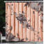 Autumn Shower Curtain Set + Hooks-95077531-95077511