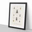 Beetle Illustrations PL.1 by Charles D'Orbigny - Single Picture Frame Print-55543791-55543792