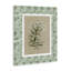 Toile à motif botanique vert, design par Carol Robinson-859605083