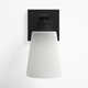 Libre Single Light Glass Steel Dimmable Armed Sconce