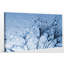 « dewy pissenlit fleur close up », reproduction de photo sur toile tendue-2079652294