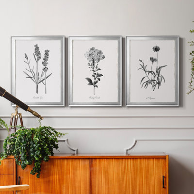 " Simply Imperial " 3 - Pieces