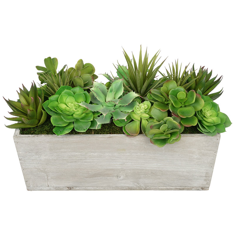 Plante grasse artificielle en pot, Gris clair