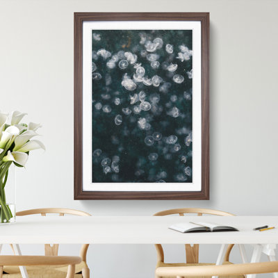 Jellyfish Vol.4 - Picture Frame Painting