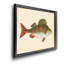 " Donovan Antique Fish I "-961319905-961319907