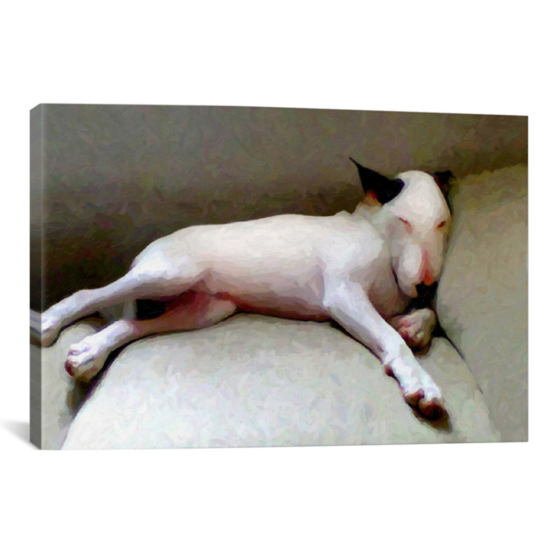 « bull terrier » par michael tompsett, reproduction d’art sur toile, H 16 po x l 24 po x P 1 po, Papier avec cadre noir