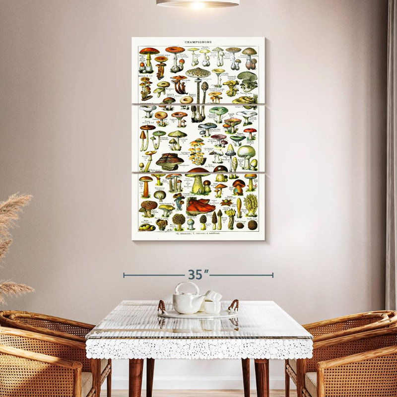Yarlin Mushroom Varieties, 50" H x 32" W