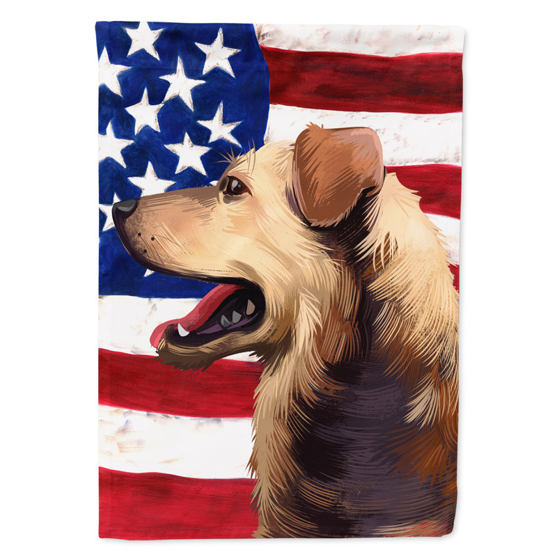 Polyester à 2 côtés 28 x 40 po drapeau maison, Pinscher autrichien