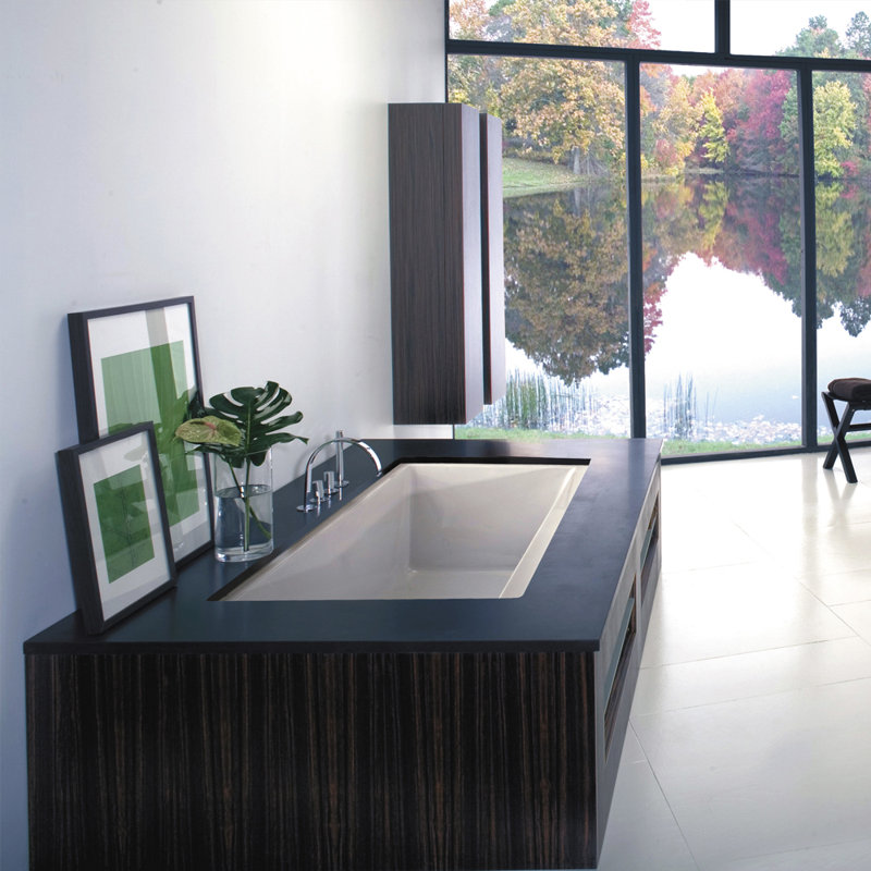 Dimini 66'' L Soaking Bathtub