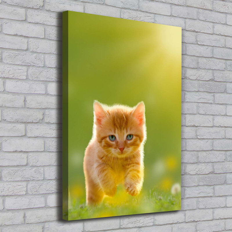 Red Cat - Wrapped Canvas Print