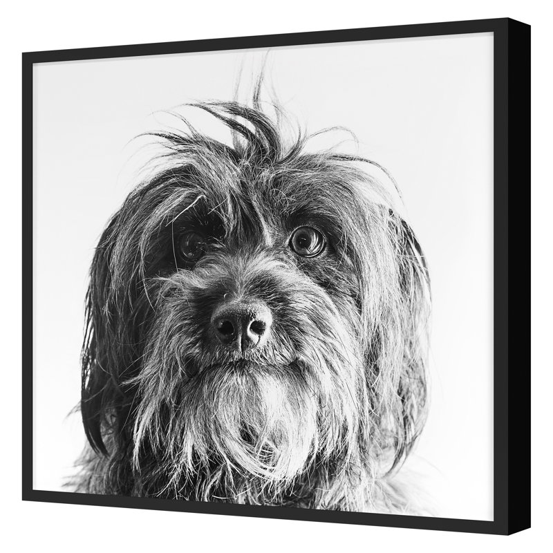 «Puppy Eyes 2» par Pearson, Victoria, Noir, H 16 po x l 16 po