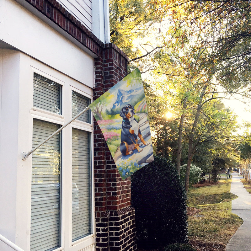Takye Double Sided 40'' H x 28'' W Polyester House Flag
