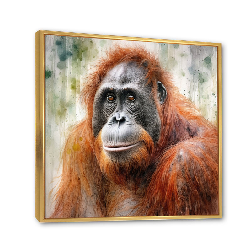 Orang-outan tropical I - animaux, art mural sur toile, H 36 po x l 36 po x P 1,5 po, Cadre flottant doré