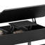 Table basse Lorenzo 31,5'' avec plateau relevable et banc de rangement-1377618269
