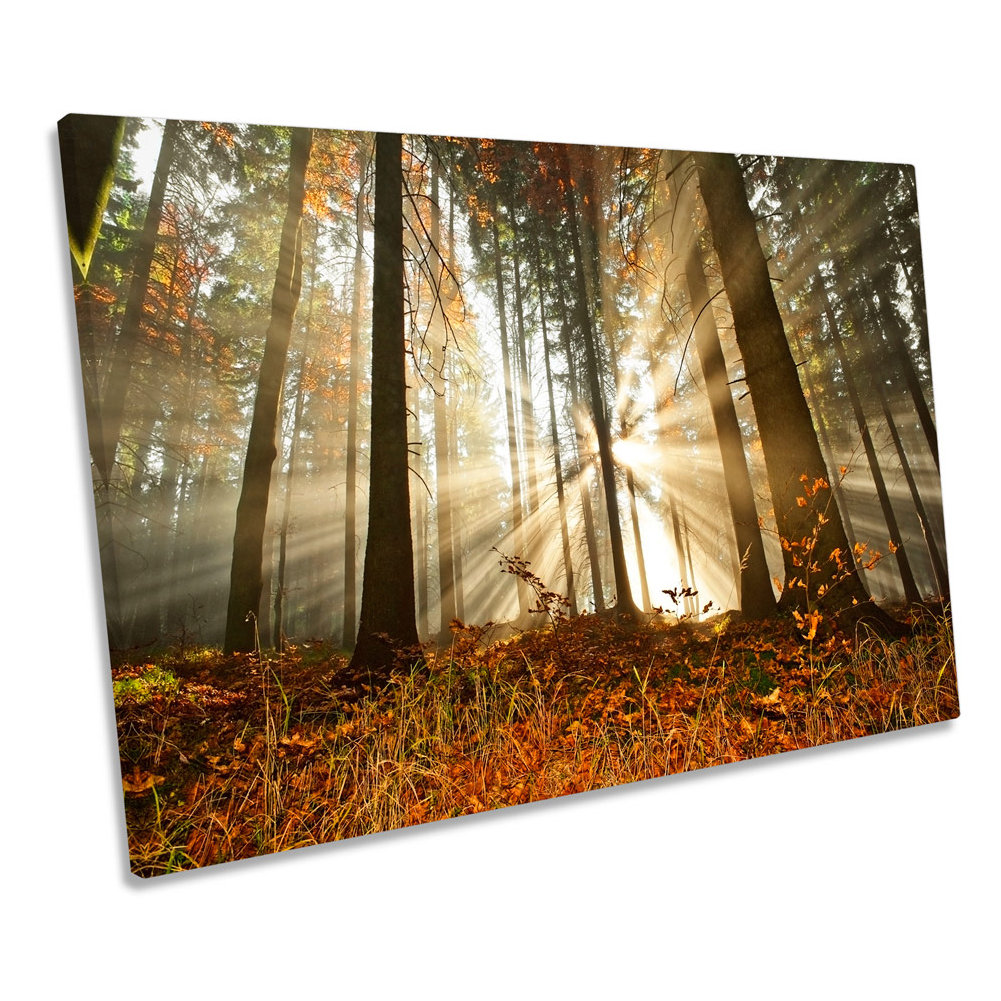 Forest Sunlight Sunset - Wrapped Canvas Print