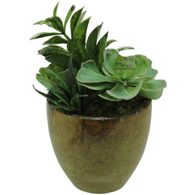 Plante grasse artificielle en pot 8,5 po