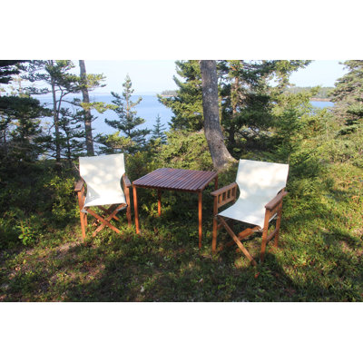 Valenzuela Folding Director Chair