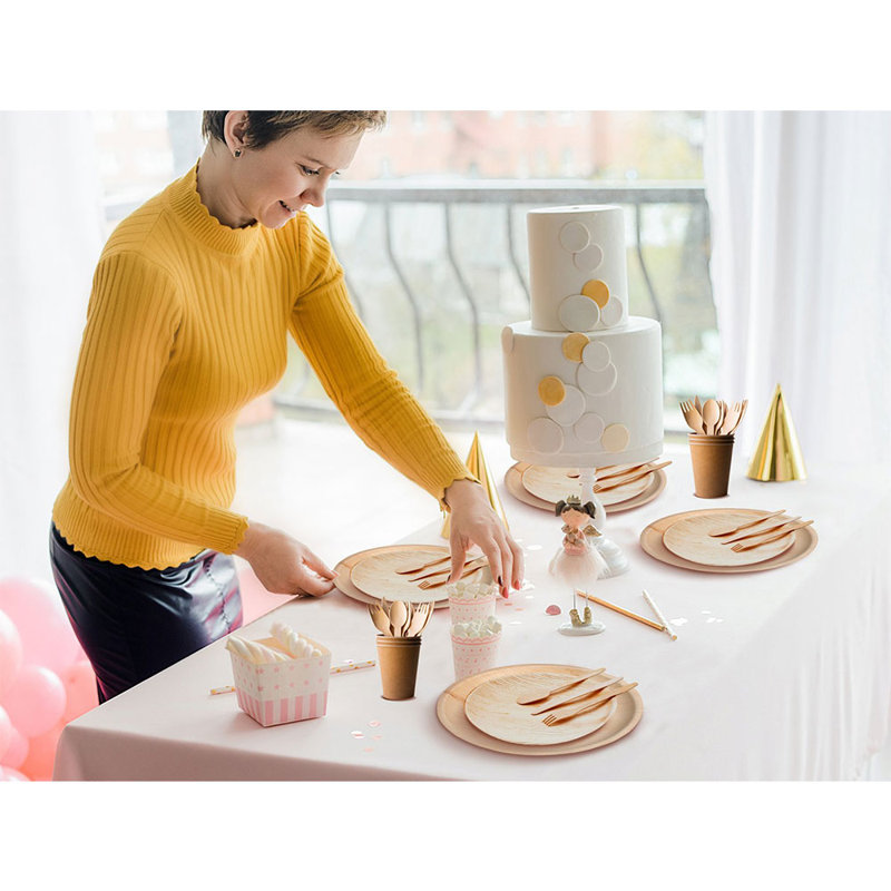 Party Supplies Kit for 50 Guests